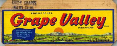 Grape Valley